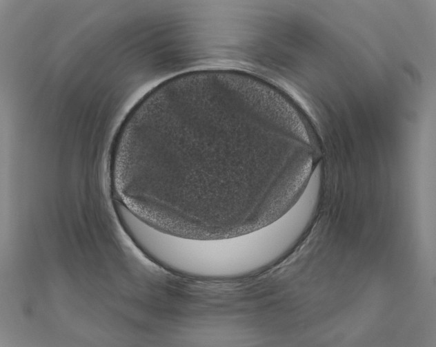 X0000110941468200907101237