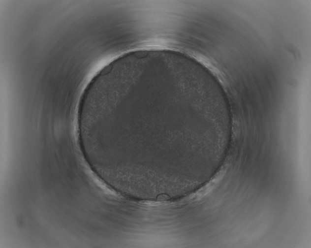 X0000110941469200907101237