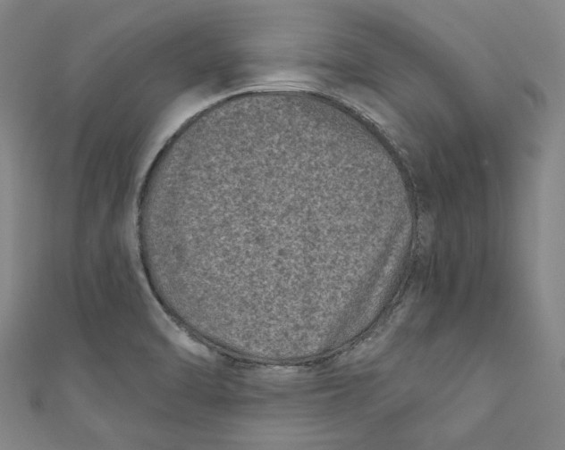 X0000110941470200907101237