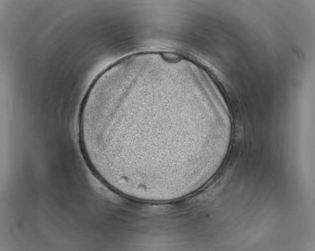 X0000110941471200907101237