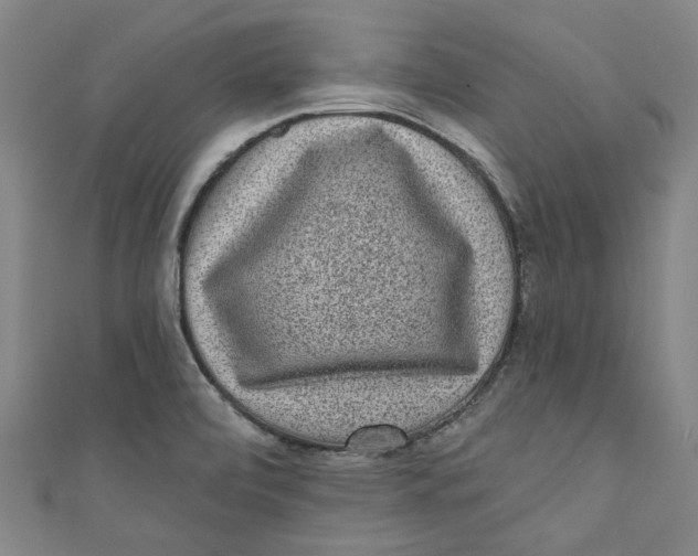 X0000110941472200907101237