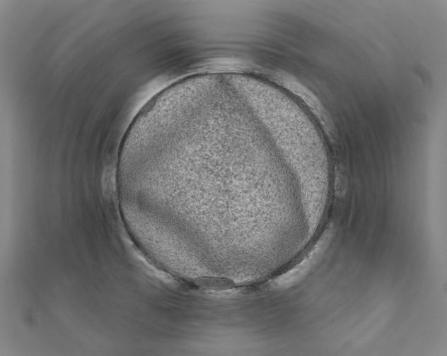 X0000110941473200907101237