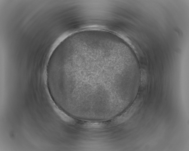 X0000110941474200907101237