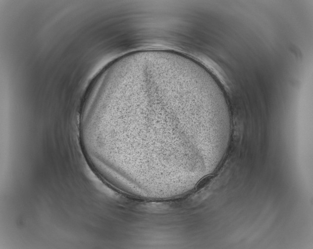 X0000110941476200907101237