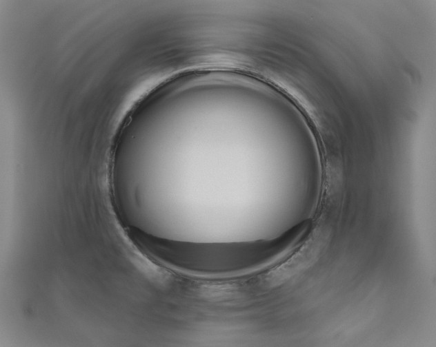 X0000110941477200907101237