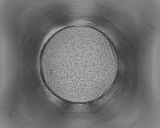 X0000110941478200907101237