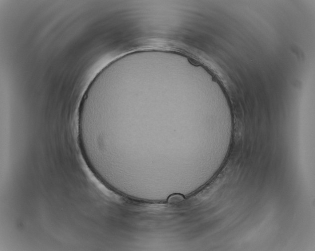 X0000110941479200907101237