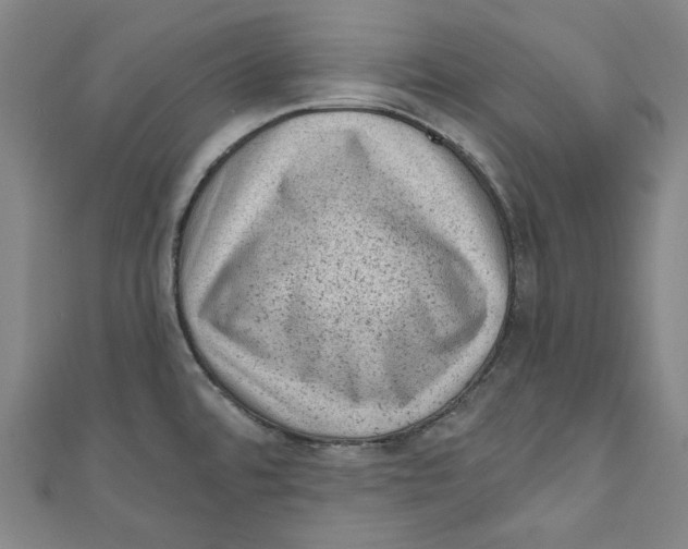 X0000110941480200907101237