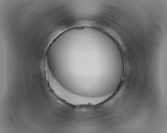 X0000110941481200907101237