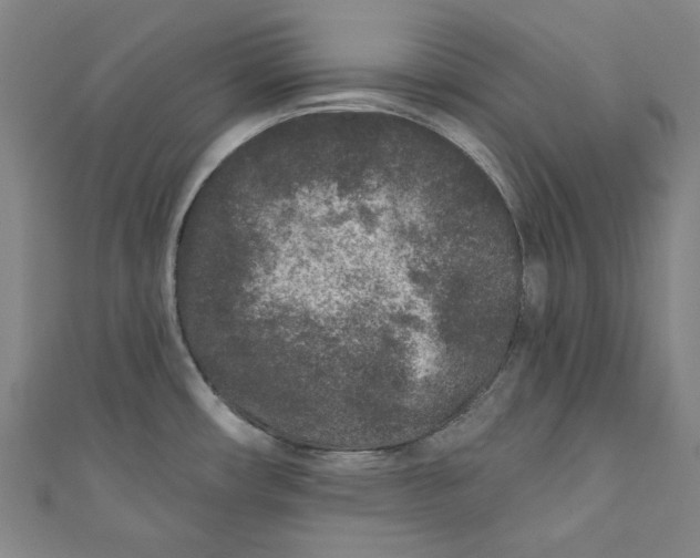 X0000110941482200907101237