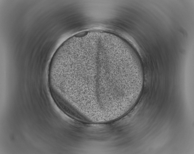 X0000110941483200907101237