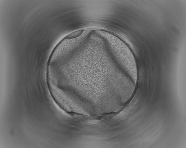 X0000110941484200907101237