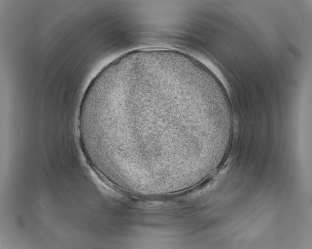 X0000110941485200907101237