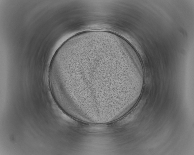 X0000110941486200907101237