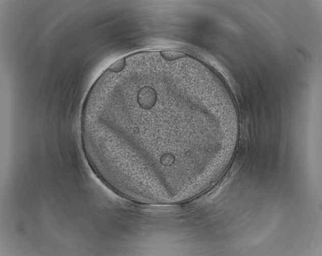 X0000110941487200907101237