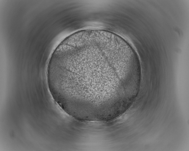 X0000110941488200907101237