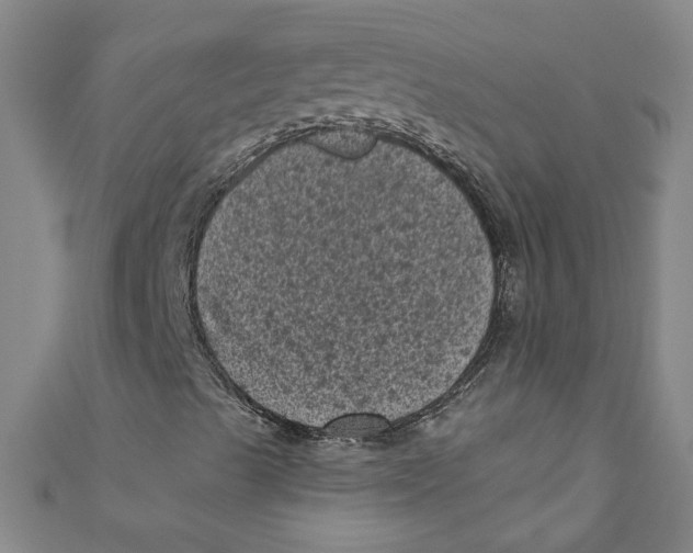 X0000110941489200907101236