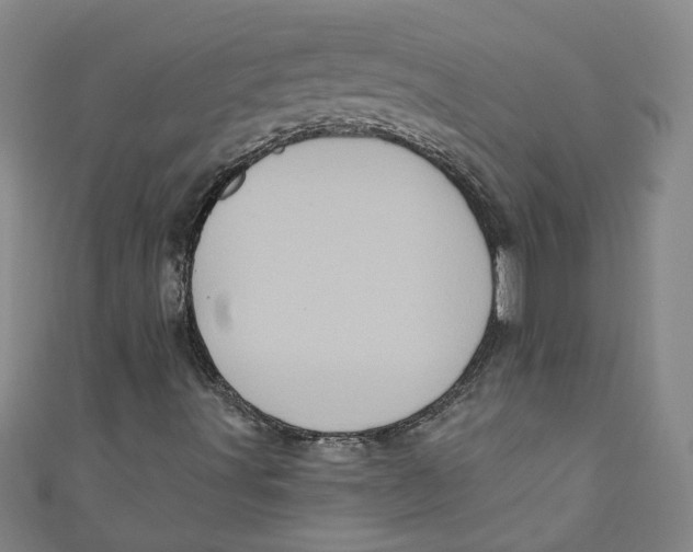 X0000110941491200907101236