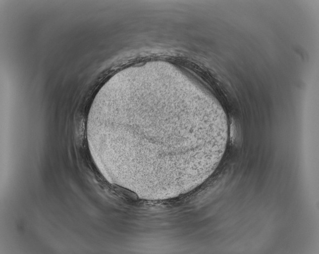 X0000110941492200907101236