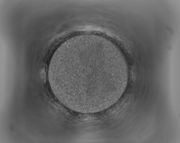 X0000110941493200907101236