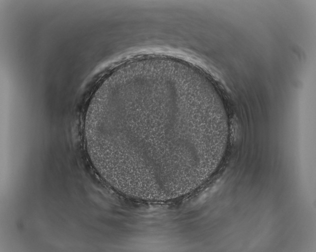 X0000110941494200907101236