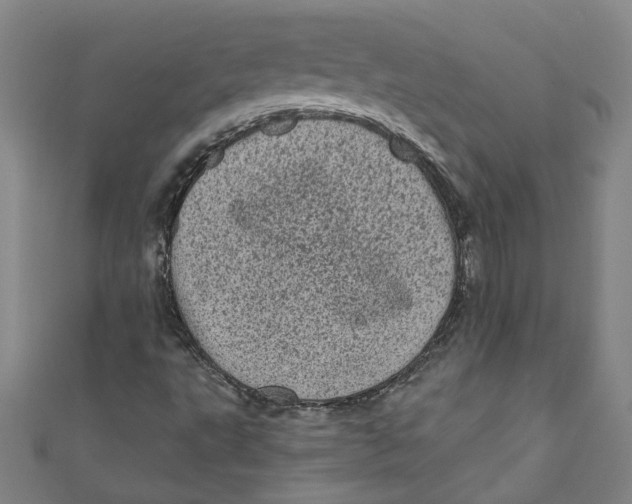 X0000110941495200907101236