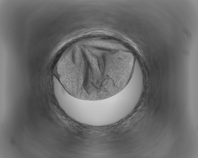 X0000110941496200907101236