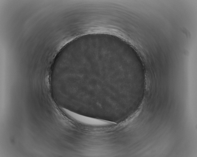 X0000110941497200907101236