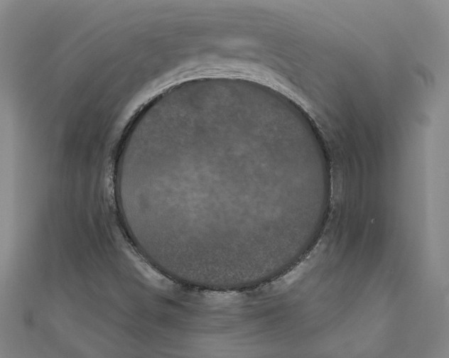 X0000110941498200907101236