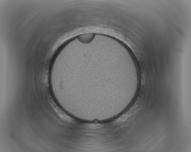 X0000110941499200907101236