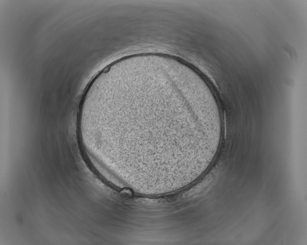 X0000110941500200907101236