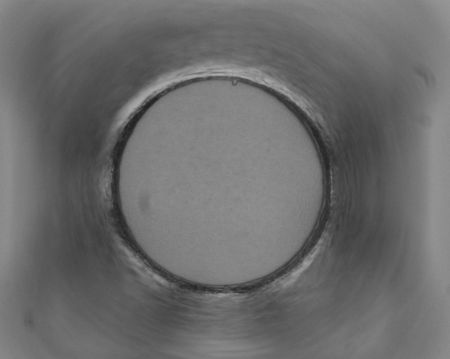 X0000110941502200907101236