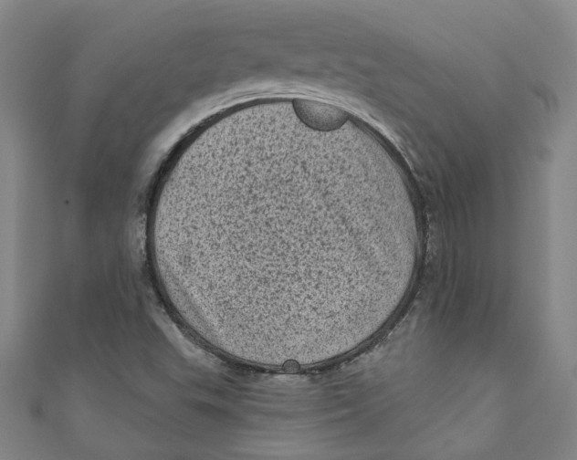 X0000110941503200907101236