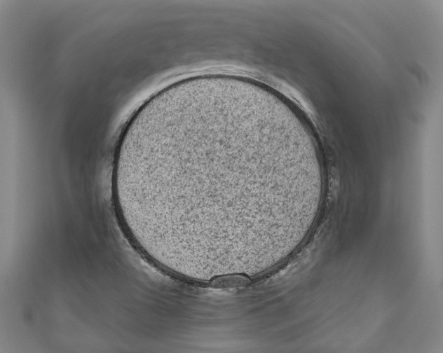 X0000110941504200907101236