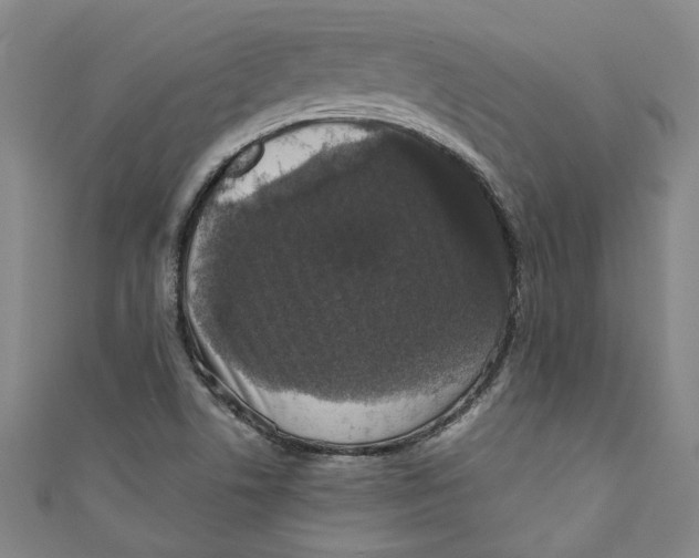 X0000110941506200907101236