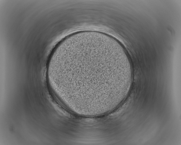 X0000110941507200907101236