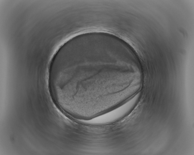 X0000110941508200907101236