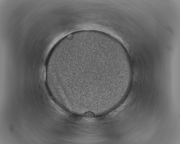 X0000110941509200907101236