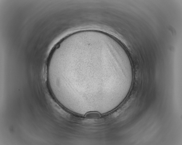 X0000110941510200907101236