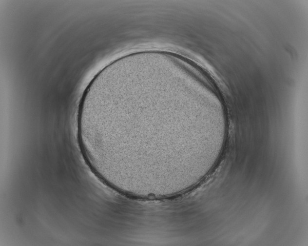 X0000110941512200907101236