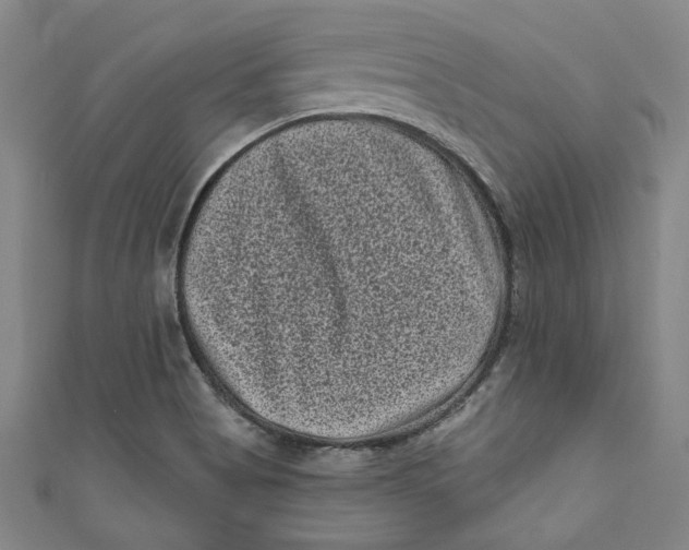 X0000110941513200907101236