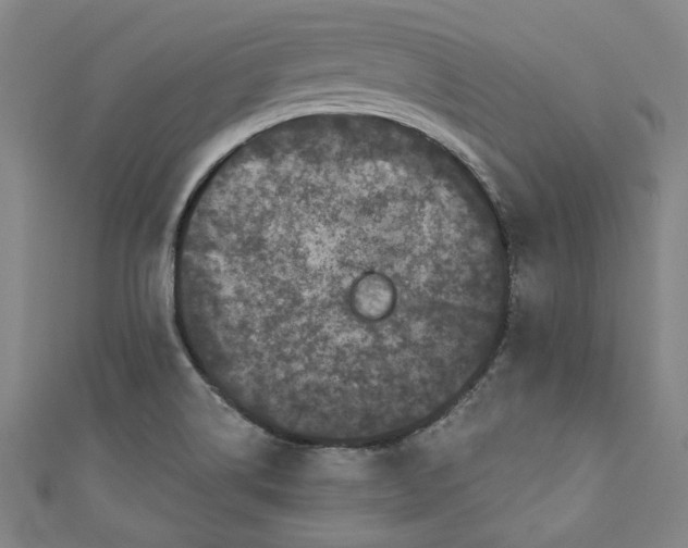 X0000110941514200907101236