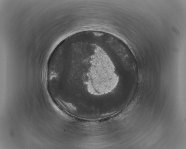 X0000110941515200907101236