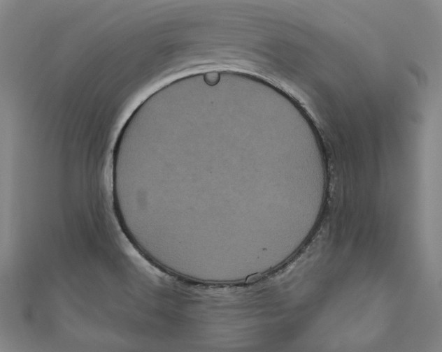 X0000110941516200907101236