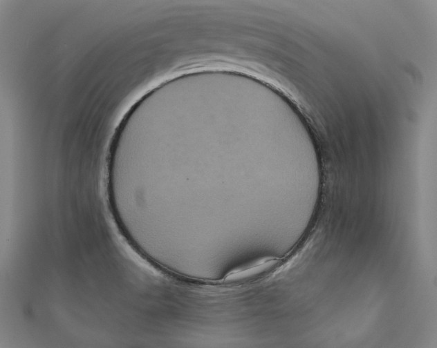 X0000110941518200907101237