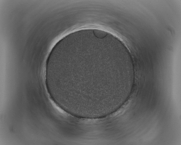 X0000110941519200907101237