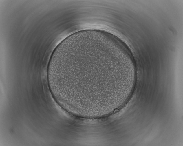 X0000110941521200907101237