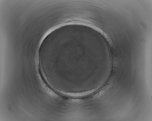 X0000110941522200907101237