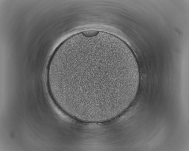 X0000110941523200907101237