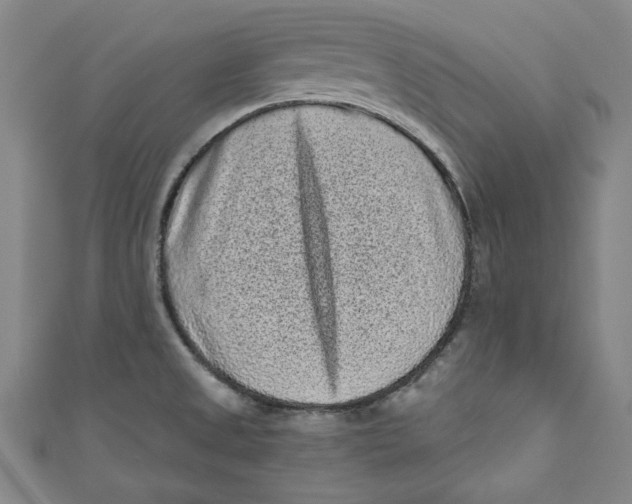 X0000110941525200907101237